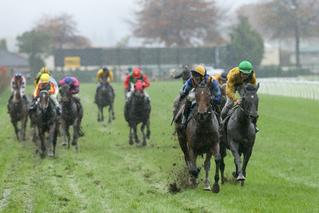 Tomelilla (NZ) dominant in the G3 ISCL Rotorua Stakes. Photo: Trish Dunell. 